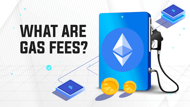 Gas Fees 101: A Beginner's Guide to Navigating Transaction Costs in Blockchain